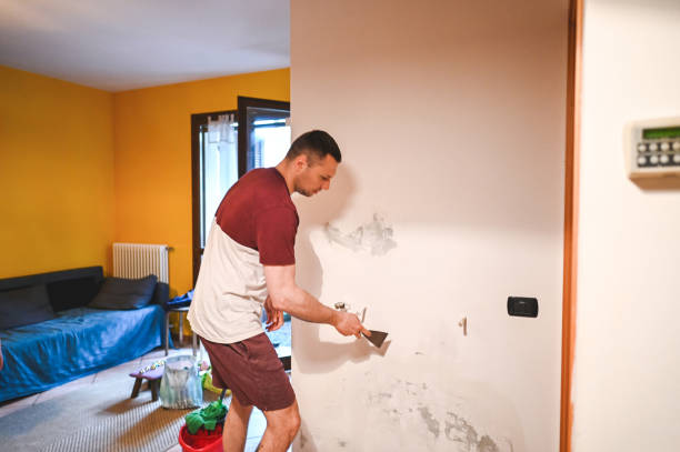 Best Post-Flood Mold Remediation in Coburg, OR